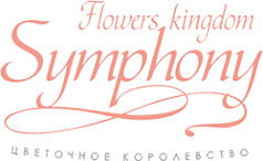 Логотип компании Symphony