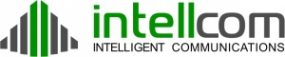 Логотип компании ИнтеллКом