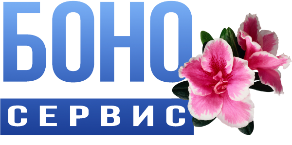 Логотип компании Боно Сервис