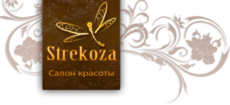 Логотип компании Стрекоза