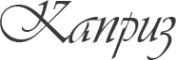 Логотип компании MarryWeddy