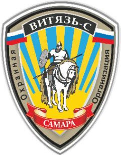 Логотип компании Витязь-С