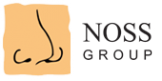 Логотип компании Noss Group