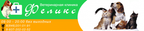 Логотип компании Феликс
