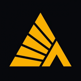 Логотип компании Деловые Линии Самара