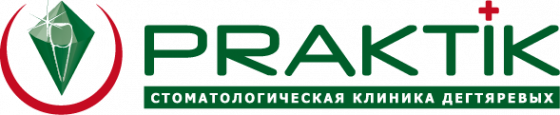 Логотип компании PRAKTIK