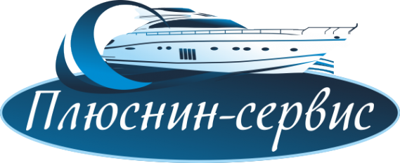 Логотип компании Плюснин-сервис
