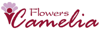 Логотип компании Camelia Flowers