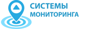 Логотип компании Системы мониторинга