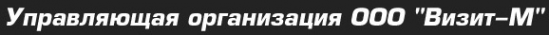 Логотип компании Визит-М