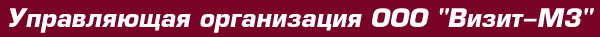 Логотип компании Визит-М3
