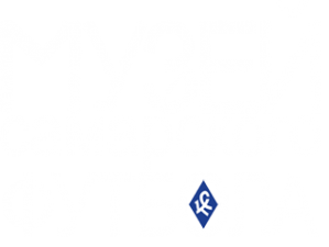 Логотип компании Музей Самарского футбола