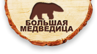 Логотип компании Большая медведица
