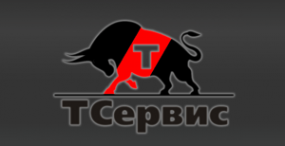 Логотип компании ТСервис