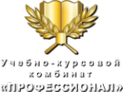 Логотип компании Профессионал АНО ДПО