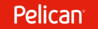 Логотип компании Pelican Story