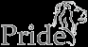 Логотип компании Арт-Прайд