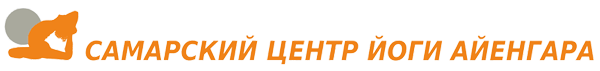 Логотип компании Айенгара