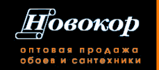 Логотип компании Делюкс