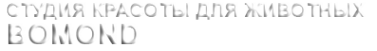 Логотип компании Бомонд