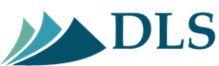 Логотип компании DLS