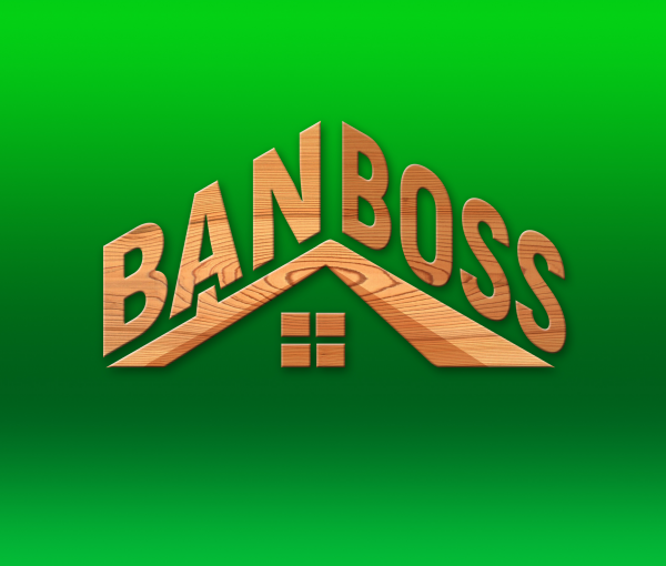 Логотип компании BanBoss